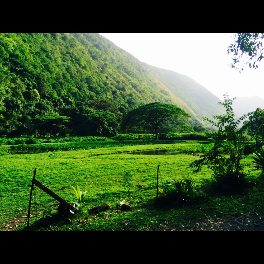 Meet your Posher, Jessie